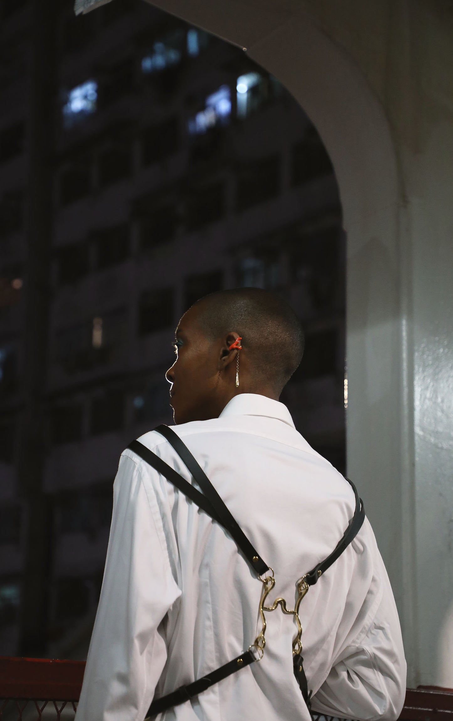 Cardinales Harness || Limited Edition