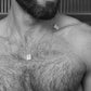 Scapulae